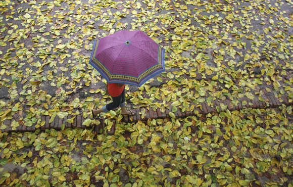 A girl holding an umbrella walks along a pathway as it rains in Noida. A file photo.