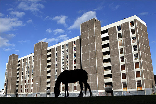 A horse grazes in front of derelict flats in the Ballymun area of North Dublin.