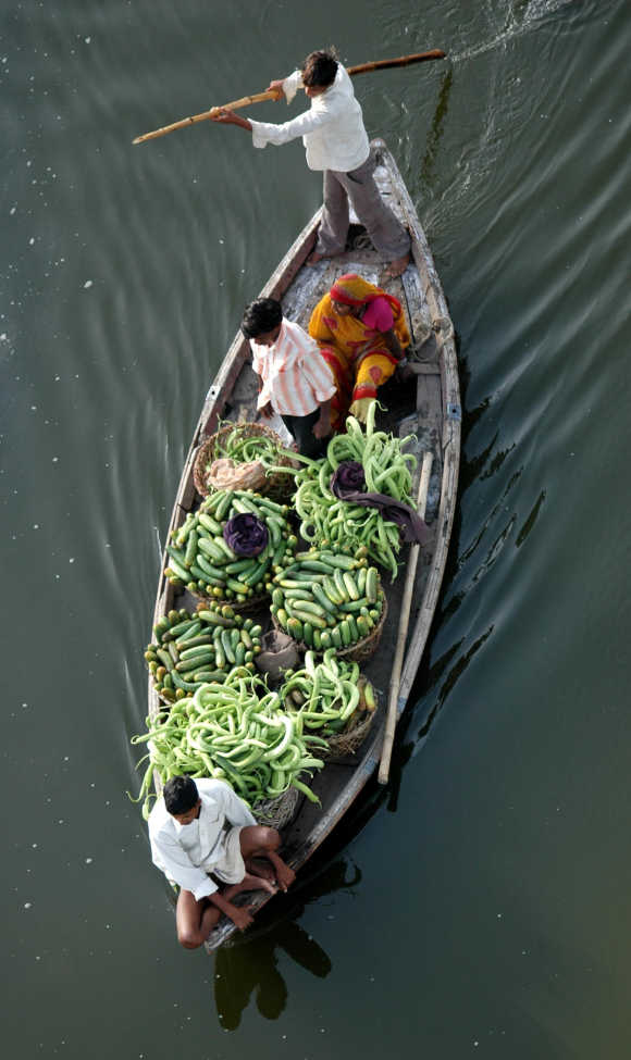 Farmers ferry cucumbers to sell them in a market in Allahabad.