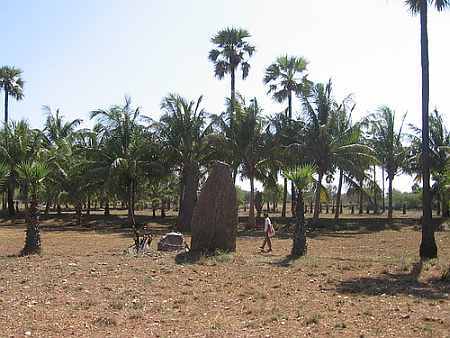 Standing Stones at Kodumanal