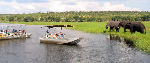 Foreign tourists in safari riverboats observe elephants along the Chobe river bank near Botswana's border.