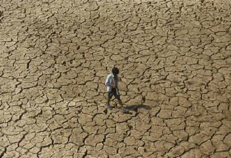 Drought: It's a fight for survival in Maharastra
