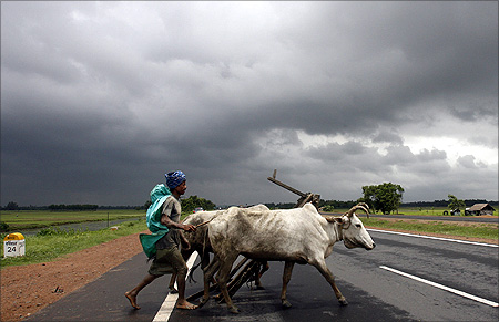 A farmer and his bullocks cross a highway against the backdrop of monsoon clouds in Singur, about 50 km (31 miles) northwest of the eastern Indian city of Kolkata.