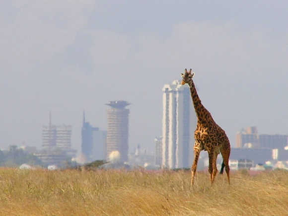Kenya ranks third. A view of Nairobi.