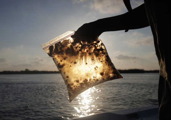 A man holds a plastic bag with oil from the Gulf of Mexico oil spill south of Freemason Island, Louisiana.
