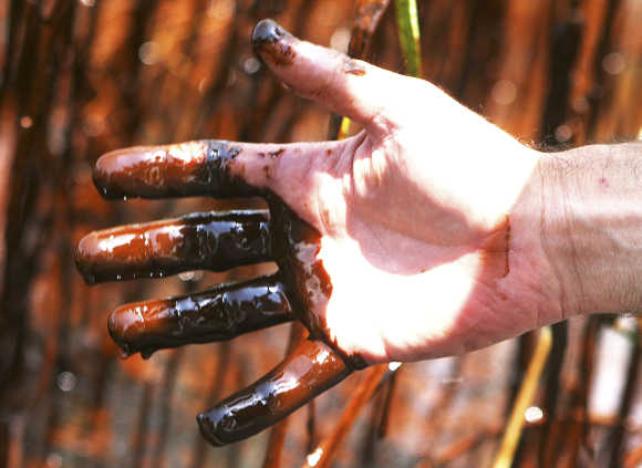 Garret Graves with the Coastal Protection and Restoration Authority shows his hand after collecting oil samples in Pass A Loutre near Venice, Louisiana, US.