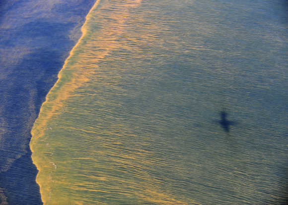 Oil is seen on the surface of the Gulf of Mexico.