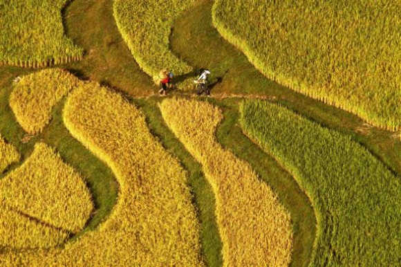 Two farmers walk on a terraced paddy field in Gaopo township, Guiyang city, southwest China's Guizhou province.