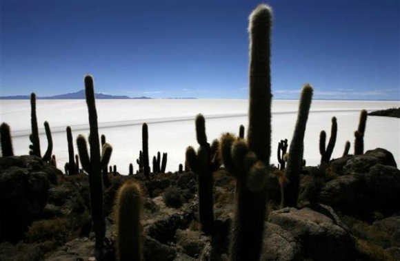 The world's largest salt flat, the Salar de Uyuni, is seen from Incahuasi island in the south of Bolivia at 3676 meters above mean sea level.
