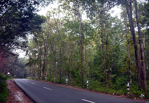 A road in Thiruvananthapuram, Kerala.