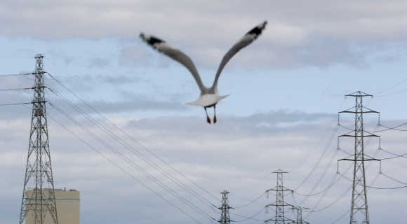 A seagull flies past high voltage electrical transmission towers in Melbourne.