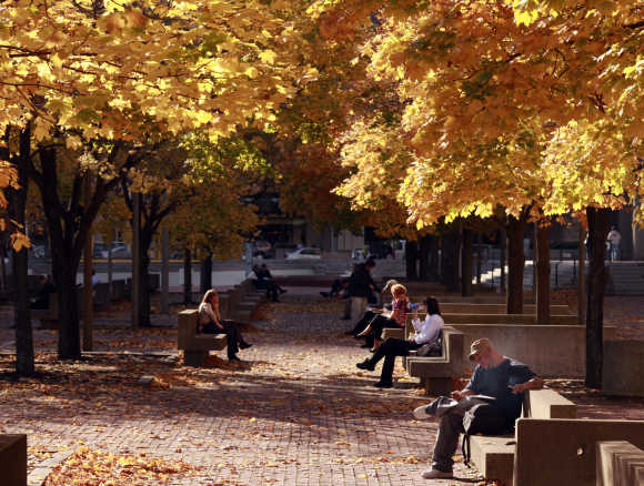 People sit under a canopy of fall leaves during a warm afternoon in Boston.