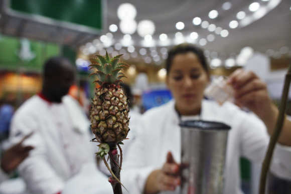 A pineapple bonsai is seen while chefs prepare food during an agricultural fair in Santo Domingo, Dominican Republic.