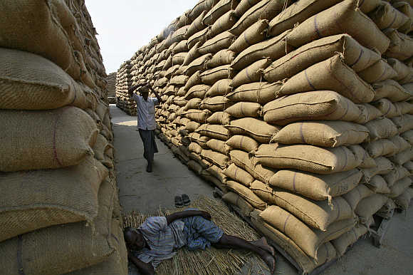 A labourer rests next to stacked sacks of paddy crop at a wholesale grain market in Chandigarh. Photo is for representation purpose only.