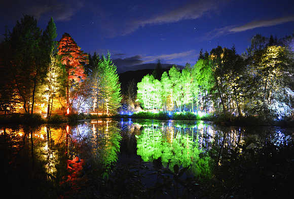 Trees lit by coloured lights are reflected in Askally Wood, Pitlochry, Scotland.