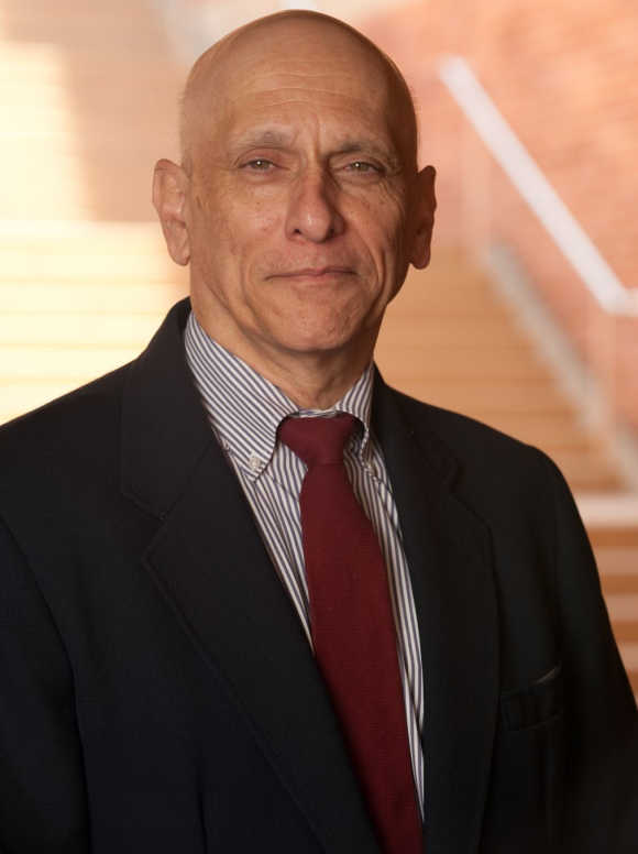 Uday Karmarkar, founder and director of the Anderson's Business and Information Technologies Project at the University of California, Los Angeles.