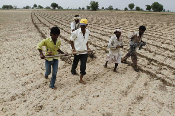 Farmers plough and sow cotton seeds in a field in Shahpur village near Ahmedabad.