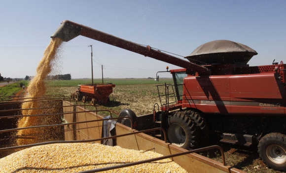 A combine harvester loads corn kernels in La Paloma city, Canindeyu, 348km northeast of Asuncion, Paraguay.