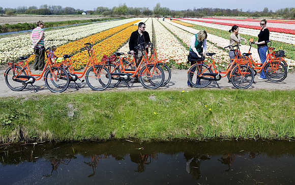 Cyclists visit a tulip field in Noordwijk, the Netherlands.