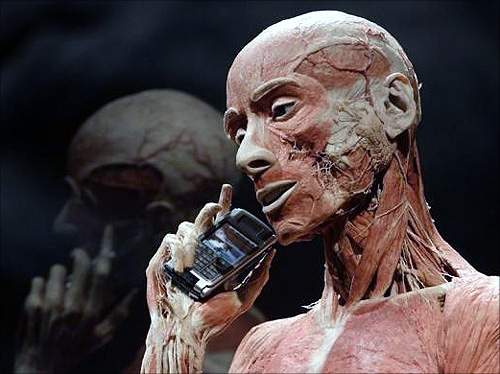 A plastinated body of a man is pictured during an exhibition preview at Naturhistorisches Museum (Natural History Museum) in Vienna.