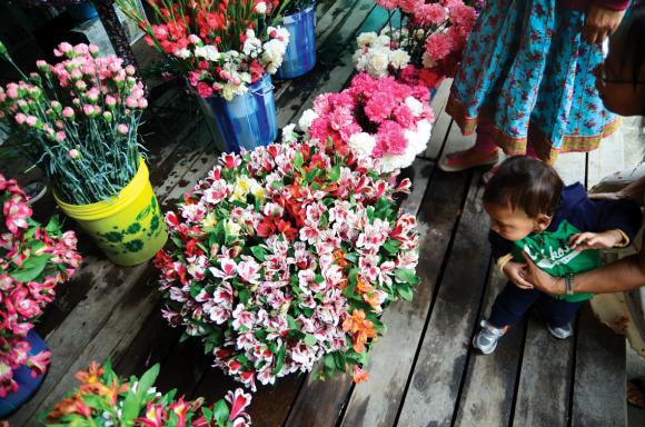 A curious child looks at a bucket of flowers at the second international flower show organised in Sikkim.