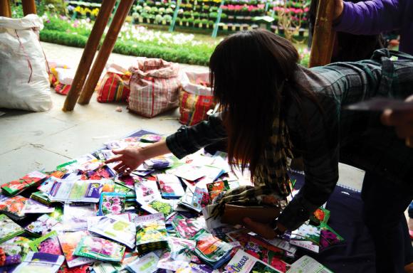A buyer takes her pick of imported  seeds.