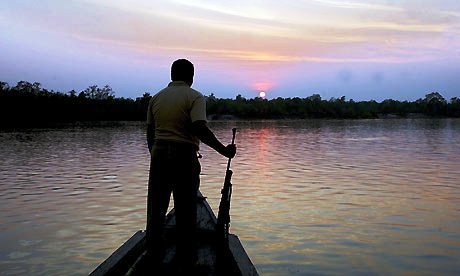 A forest official returns to his base as the sun sets at Sunderbans.