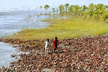 Children play on a damage embankment behind mangrove plantations at Moushuni island, Sunderbans.