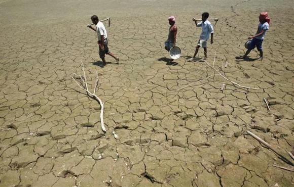 Labourers walk through a parched land of a dried lake on the outskirts of Agartala, capital of Tripura.