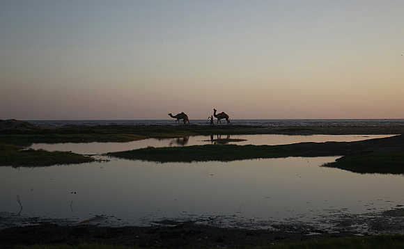 Men walk with camels during sunset by the sea in Karachi.