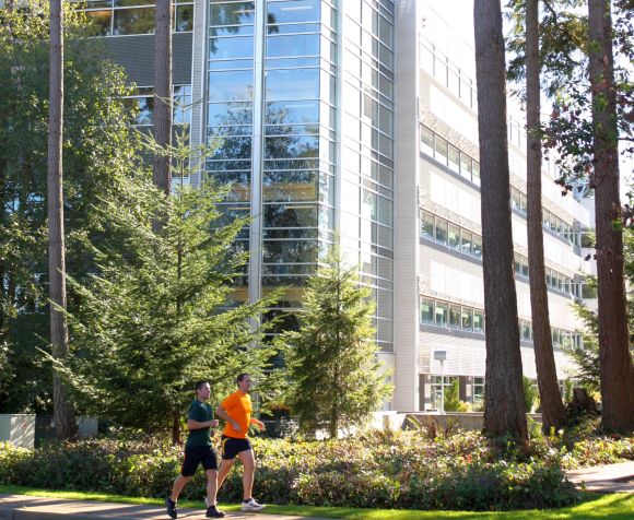 A tour of Microsoft's Redmond campus