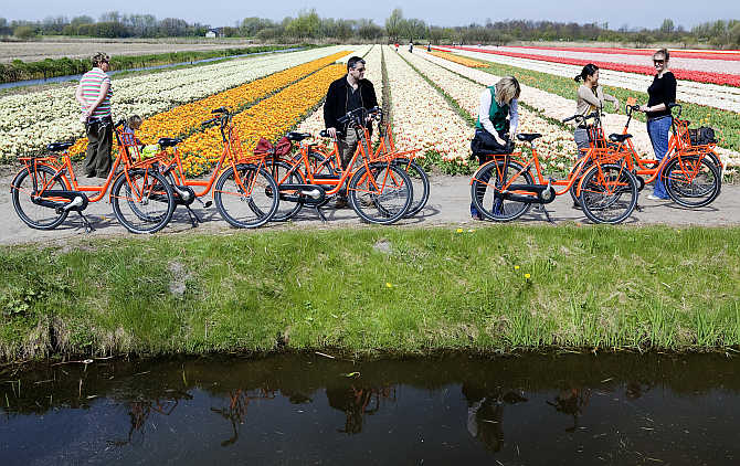 Tourists enjoy the Dutch tulip fields in Noordwijk, the Netherlands.