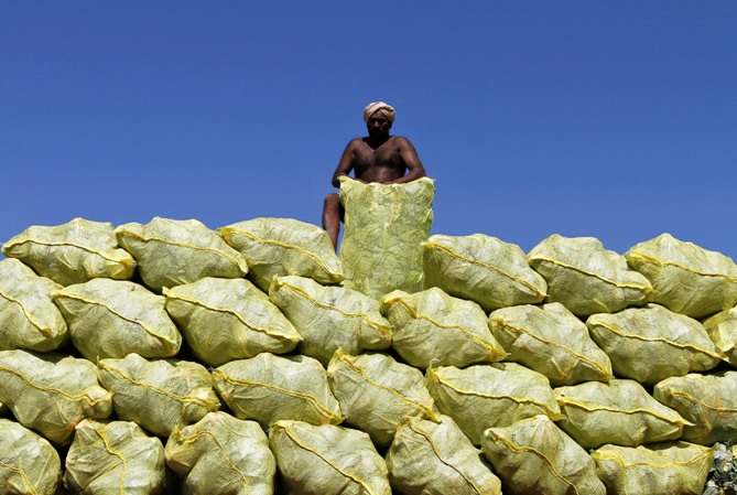 A labourer unloads bags filled with cabbage from a supply truck at a vegetable wholesale market in Chennai.