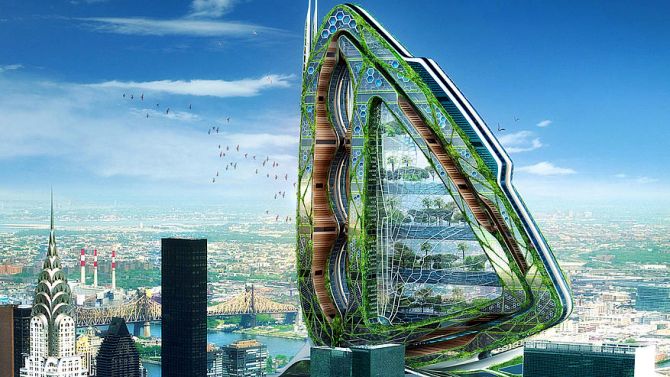 Dragonfly: Vertical Farming in New York City 