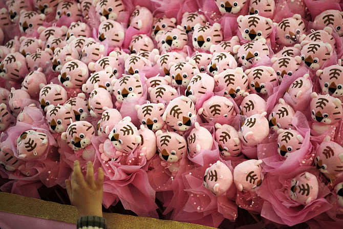 A child touches tiger decorations at a shopping mall in Guangzhou, Guangdong province, China.