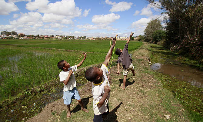 Boys use catapults to scare away birds from their rice paddy fields in the outskirts of the capital Antananarivo, Madagascar.