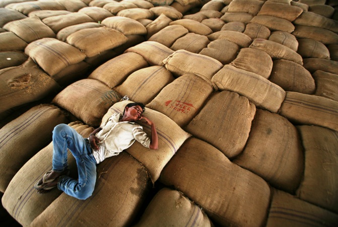 A worker takes a nap on sacks filled with wheat at a wholesale grain market at Dadri town in Uttar Pradesh.