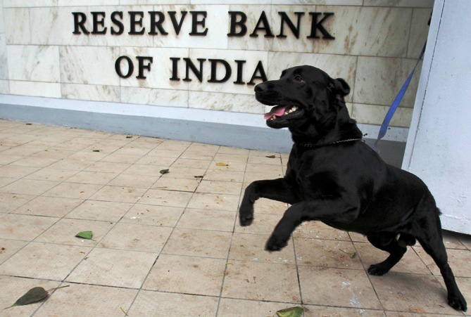 A sniffer dog from the Indian police is tied outside the Reserve Bank of India head office in Mumbai.