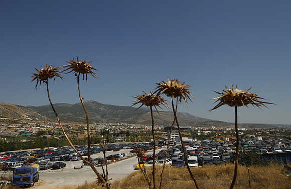 Confiscated cars parked at the Oddy yard in Athens.