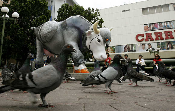 A sculpture called 'The cow pigeon' is displayed as part of the Cow Parade art festival in San Jose.