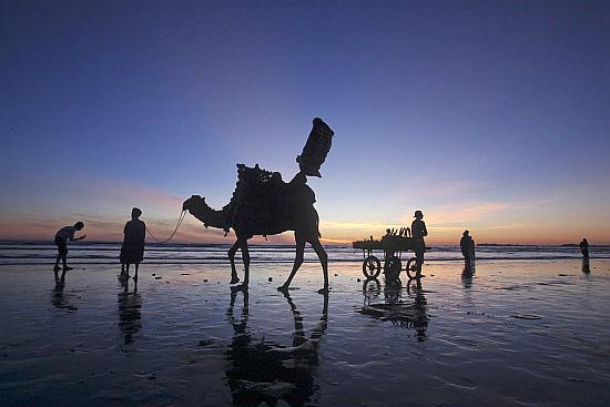 A man sells roasted corn from his cart as another waits to give camel rides to residents visiting Karachi