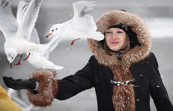 A woman feeds bread to seagulls during a snowstorm in Stockholm.