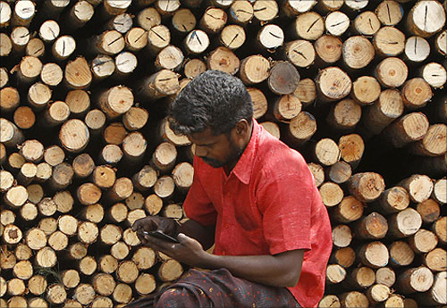 A worker uses his mobile phone as he sits in front of logs of wood for sale at a warehouse in Chennai.