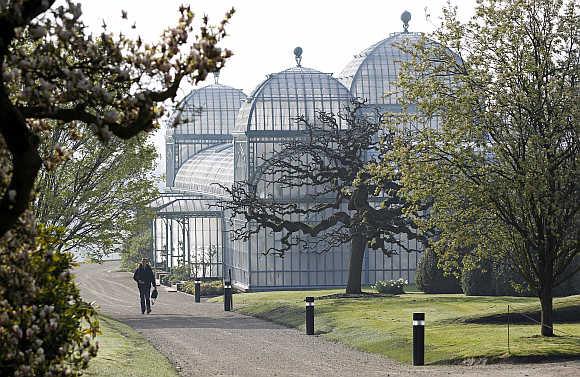 A visitor walks past one of the greenhouses on the grounds of the Belgian royal family's residence of Laeken in Brussels, Belgium.