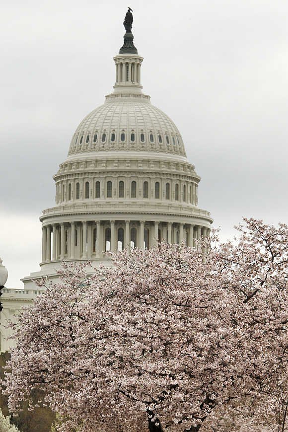 US Capitol Dome seen behind a cherry blossom tree in Washington.