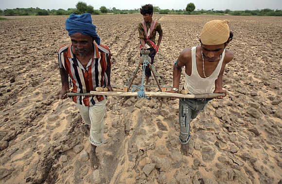 Farmers plough a field before sowing cotton seeds in Kayla village, about 70km west of Ahmedabad, Gujarat.