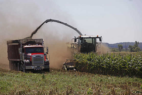 Harvesters chop corn at Sunburst Dairy in Belleville, Wisconsin, United States.