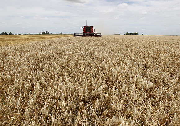 A combine harvester is used to harvest wheat in General Belgrano, 160km west of Buenos Aires, Argentina.