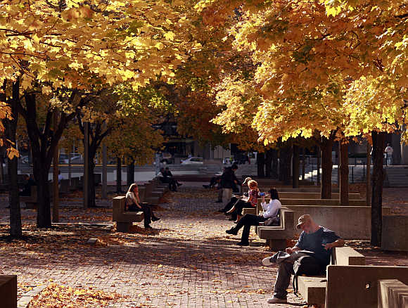 People sit under a canopy of fall leaves during a warm afternoon in Boston, Massachusetts.