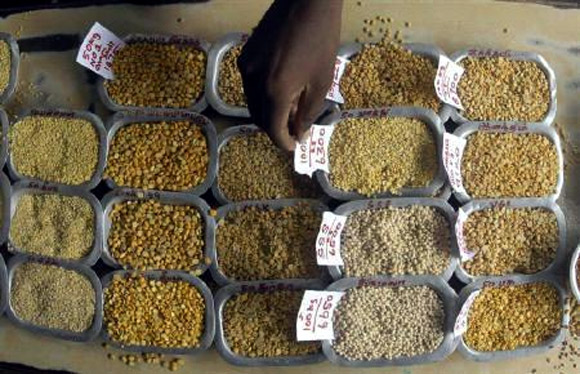 A man arranges price tags on the samples of various pulses at a wholesale market in Chennai.